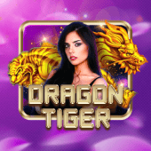 Dragon Tiger Jibb
