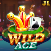 Wild Ace Jibb